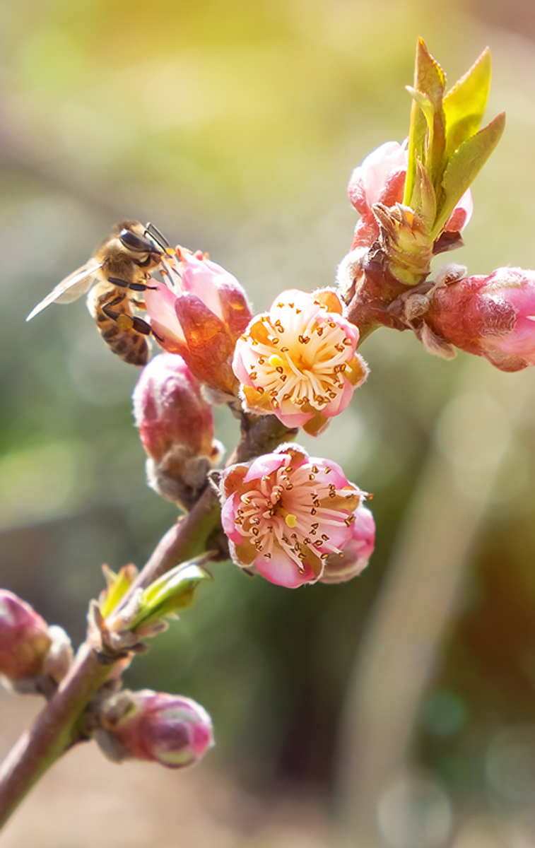 Nouveau format : Les Rencontres "Questions / Réponses"